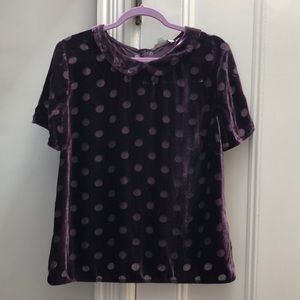 Boden Plum Velour and sheer polka dot top